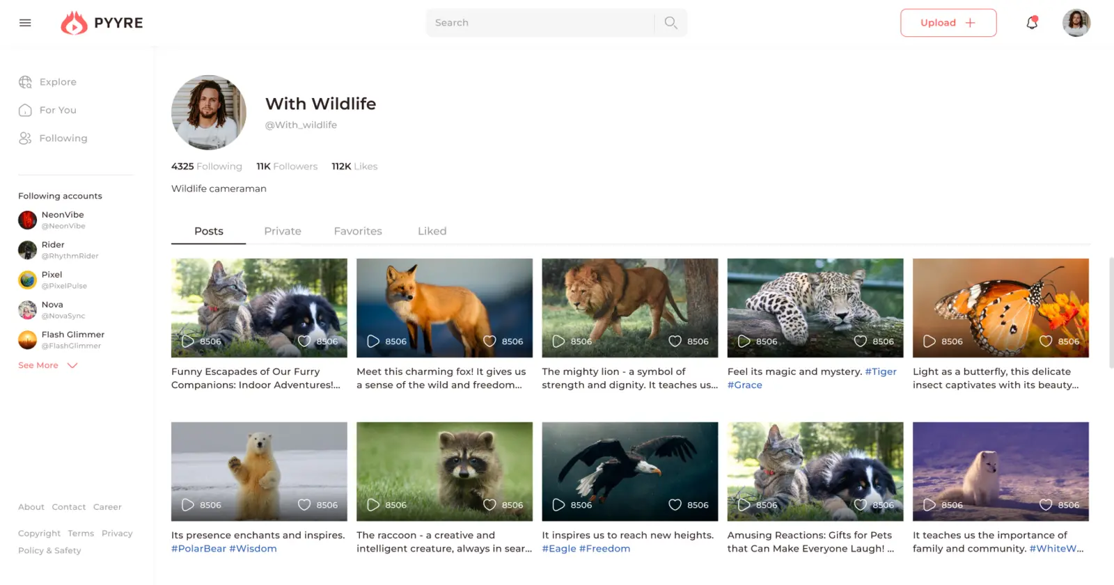 follow your inspirations